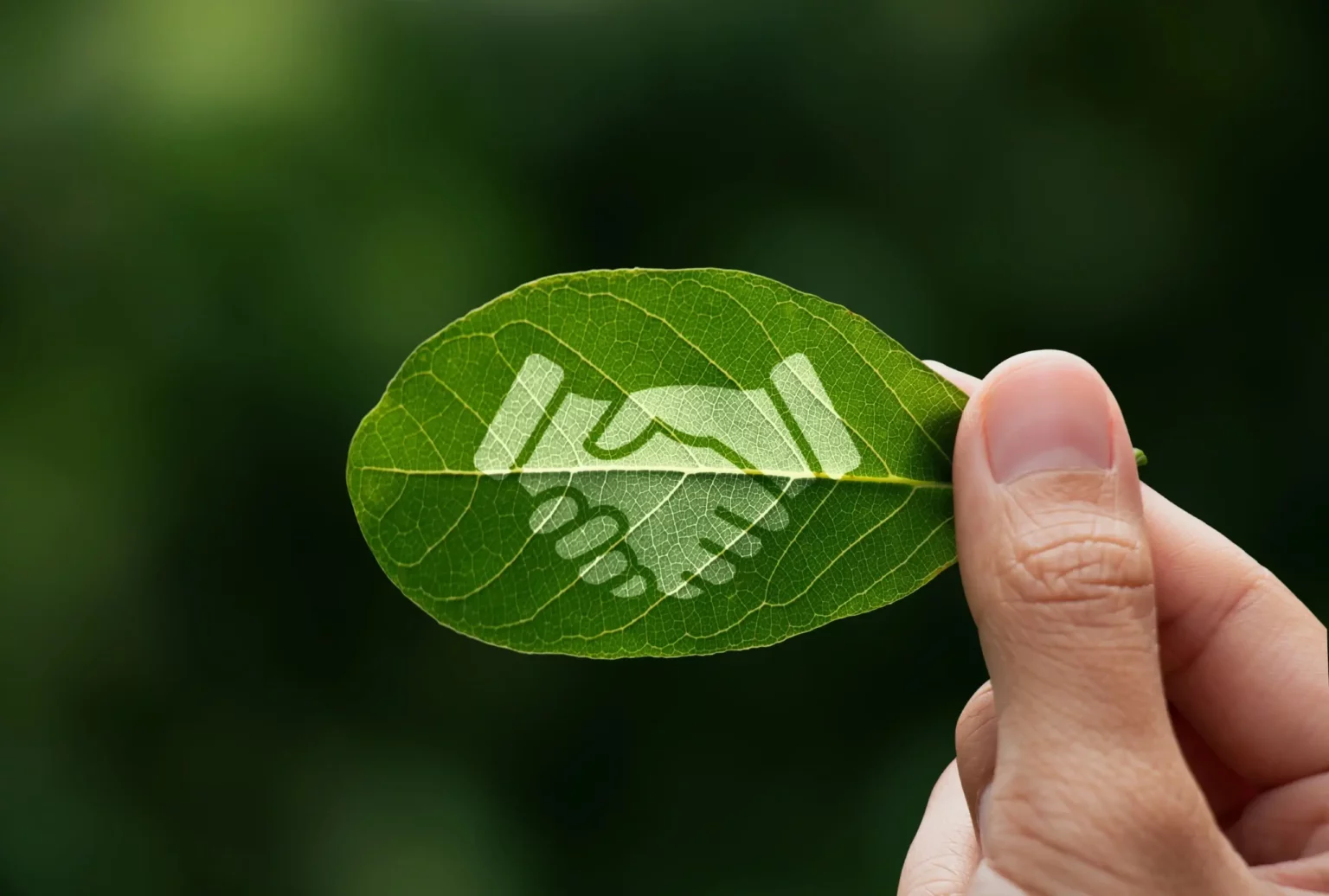 Environmental Compliance