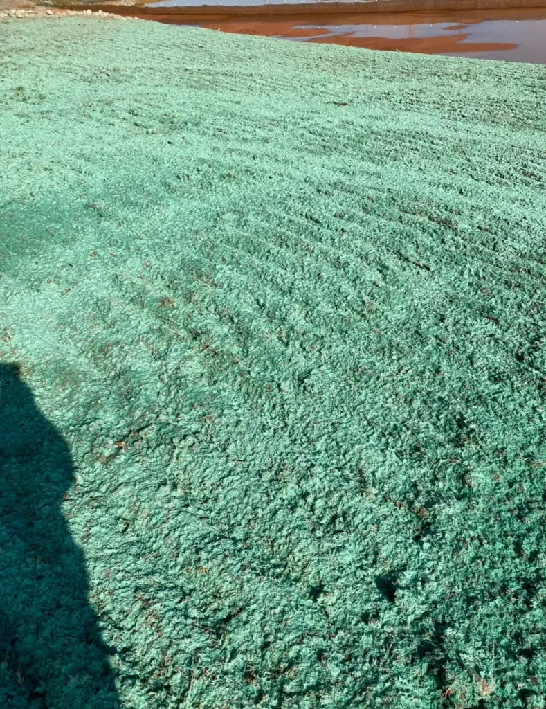 Bonded fiber matrix is a key component in coastal developments for controlling erosion