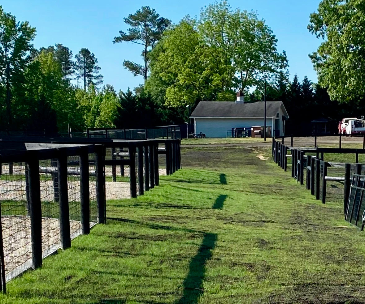 After compost blanket