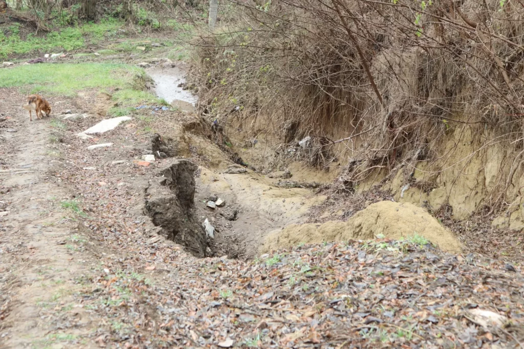 Sediment Runoff