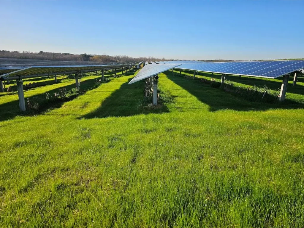 Solar Farm after erosion control
