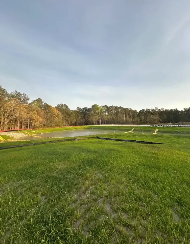 The site is now permanently stabilized with vegetation, ensuring full compliance with the land disturbance permit.