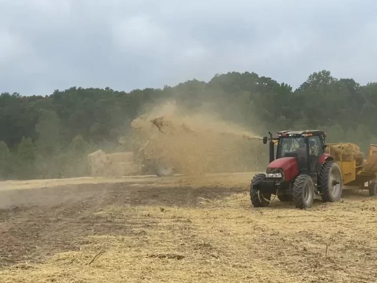 Tractor blowing straw mulch across a graded construction site