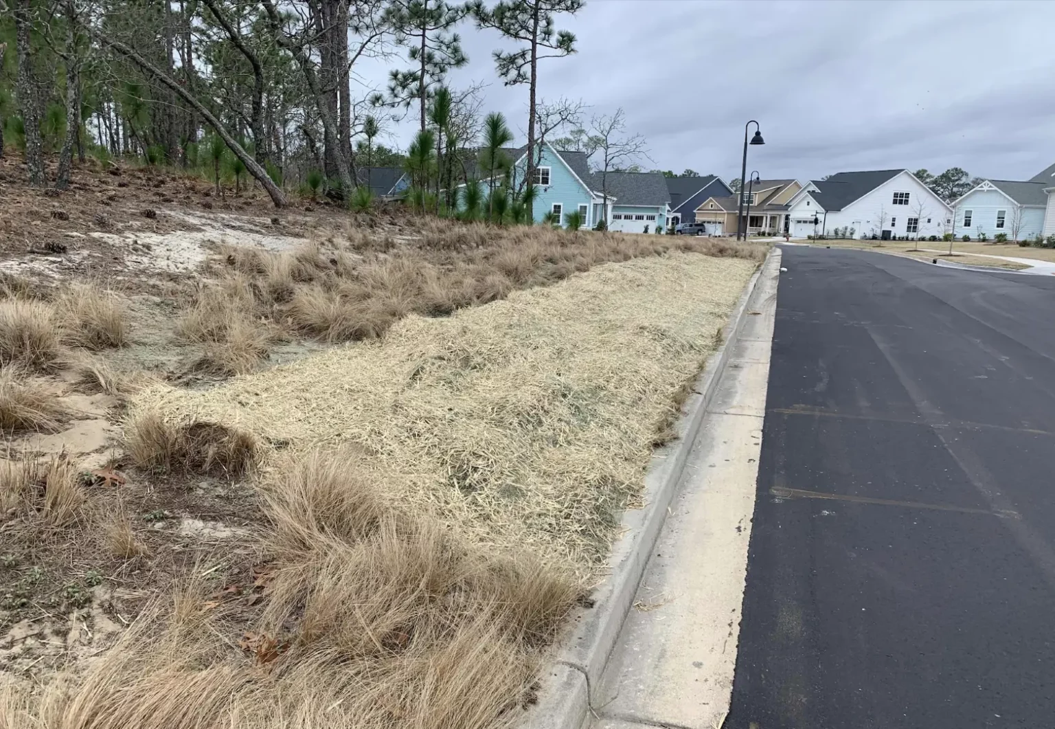 Erosion control matting placed over the seed bed to stabilize the slope and prevent displacement of seed and sand into roadway.