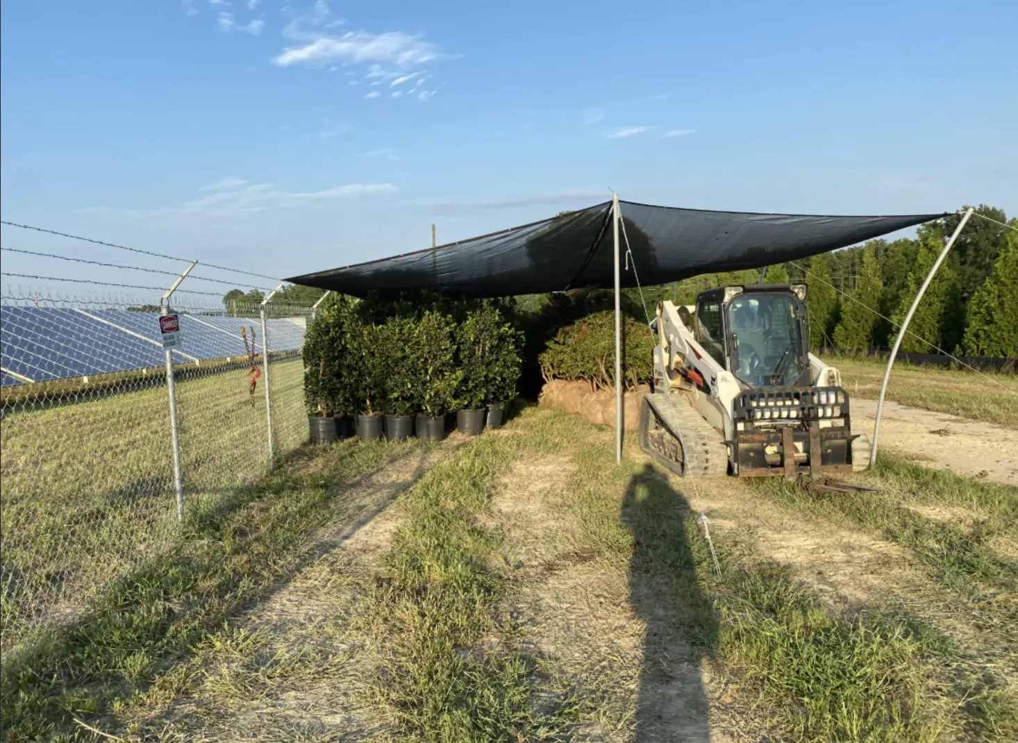 Plants were kept covered and protected prior to installation to ensure their health and viability before planting.